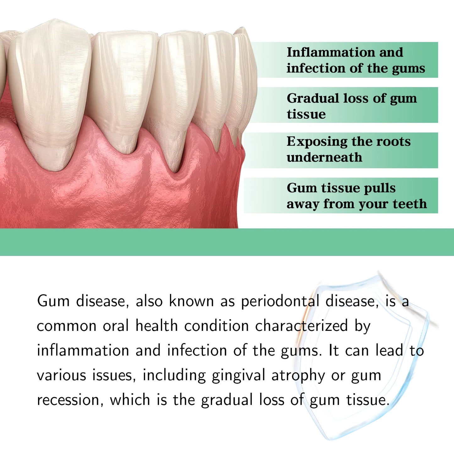 Gum Repair Drops – Relief for Swollen & Receding Gums