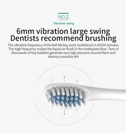 Electric Ultrasonic Toothbrush – Six Speed Modes, Waterproof, USB Rechargeable