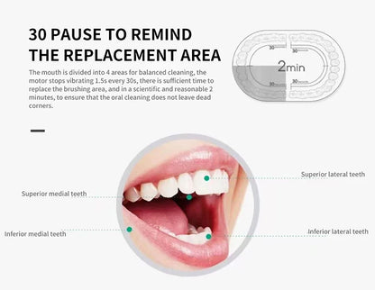 Electric Ultrasonic Toothbrush – Six Speed Modes, Waterproof, USB Rechargeable
